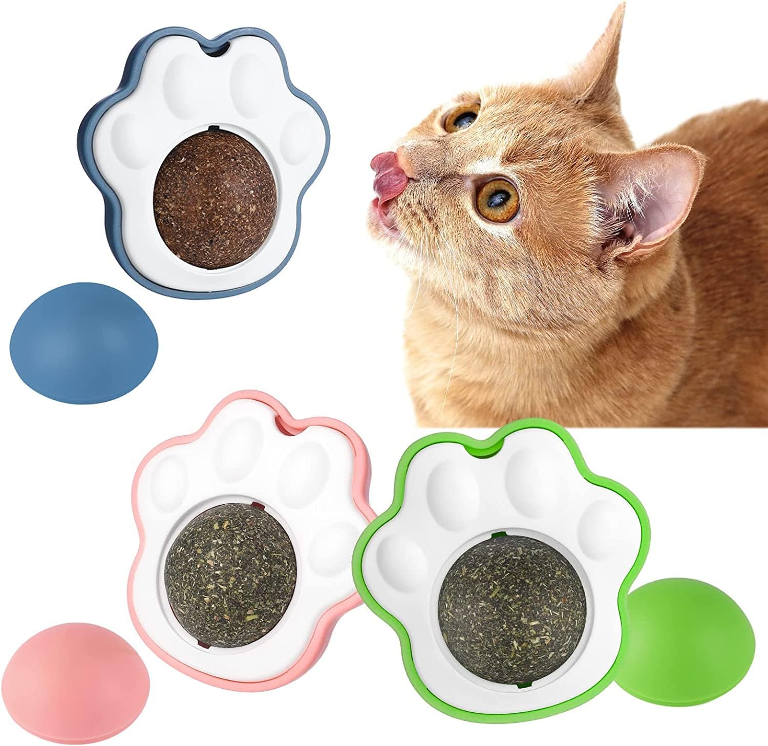 Leash+Catnip+Comp