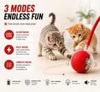 Interactive Cat Ball Toy