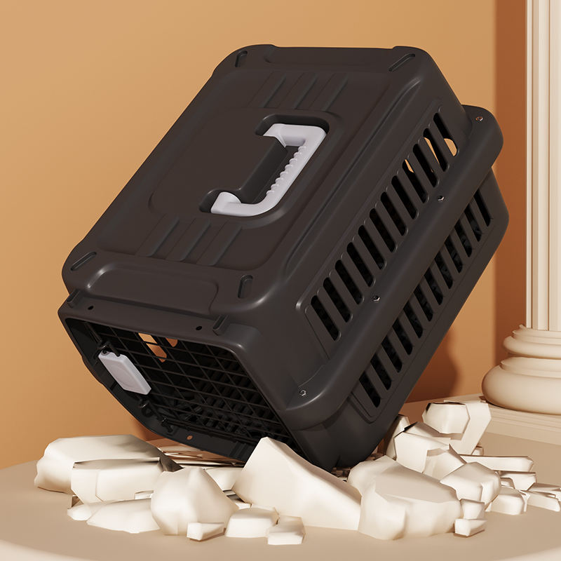 Small Travel Cat & Dog Carrier