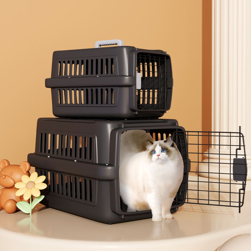 Small Travel Cat & Dog Carrier