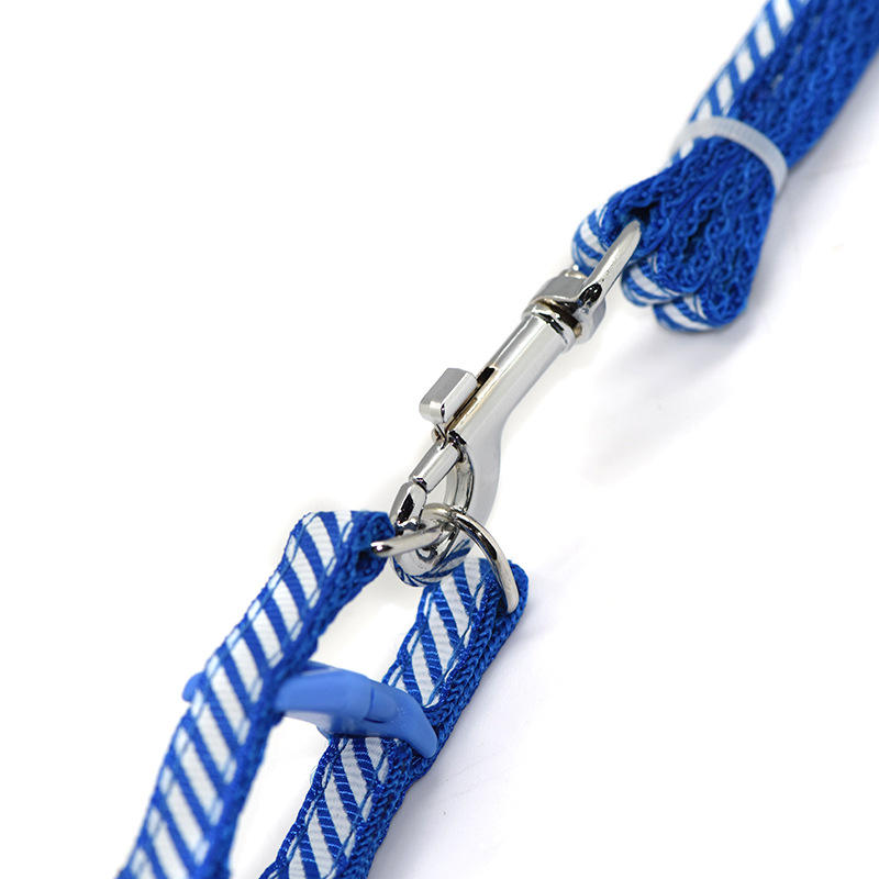 Leash+Catnip+Comp
