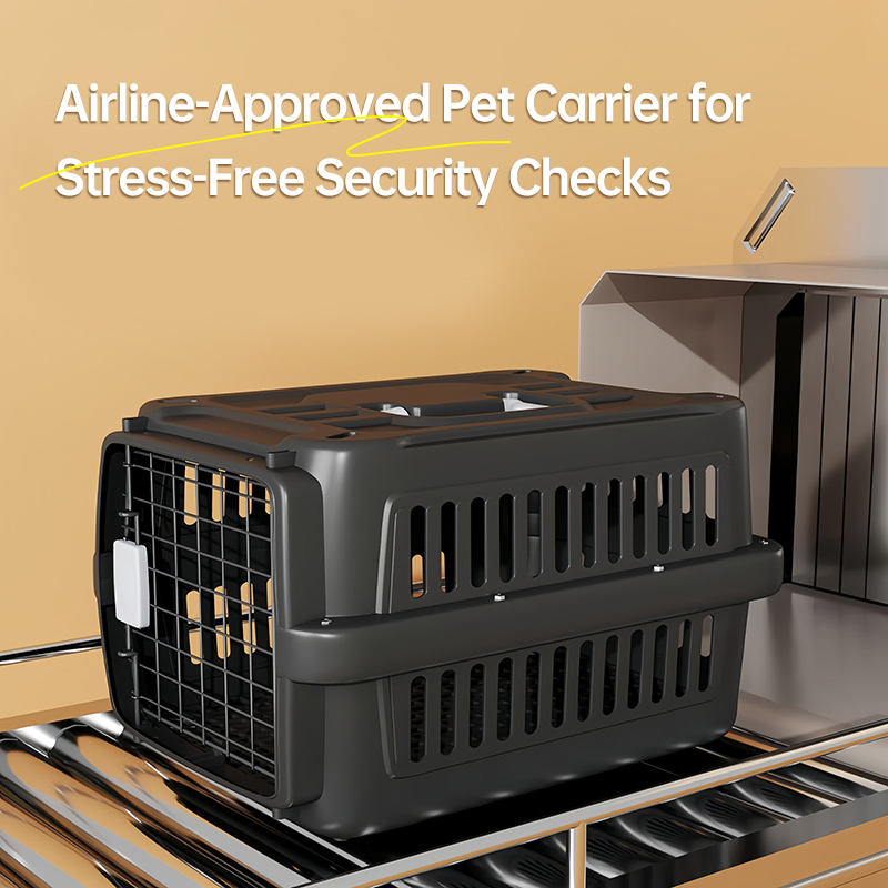 Small Travel Cat & Dog Carrier