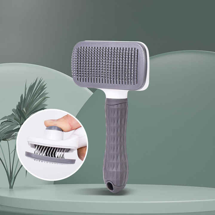 Transform Grooming Into Joyful Bonding Moments