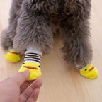 Lazer Toy+Socks