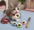 Leash+Catnip+Comp