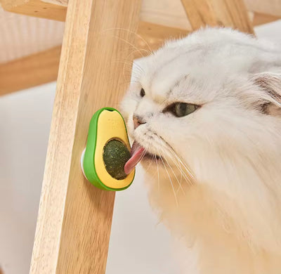 Avocado Cat Chew Ball Set