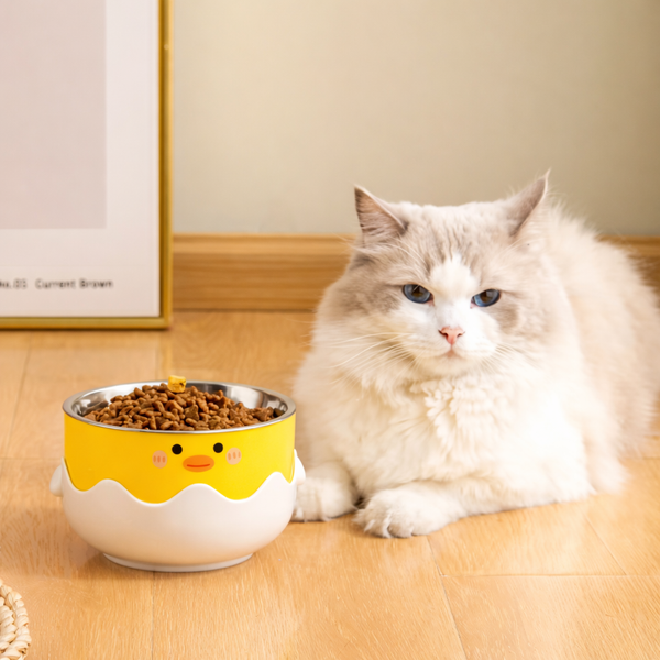 premium Stainless Steel Tilt Pet Bowl