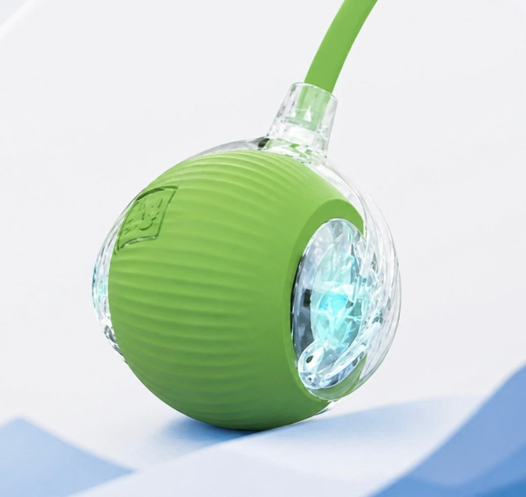 Interactive Cat Ball Toy