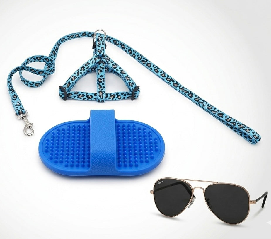 Leash+Specs+Silicone Glove