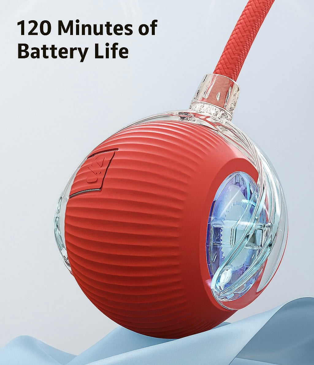 Interactive Cat Ball Toy