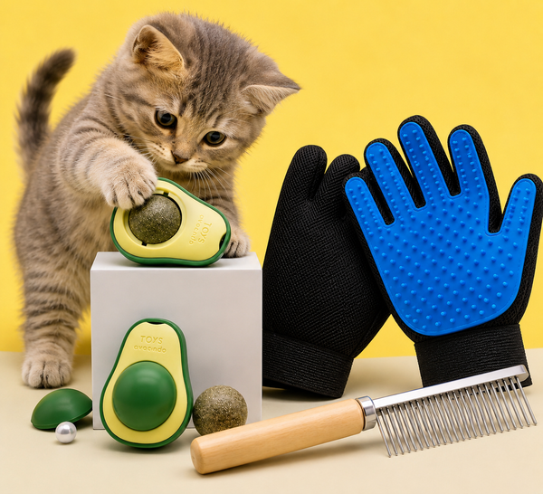Glove+Avocado Toy+Comp