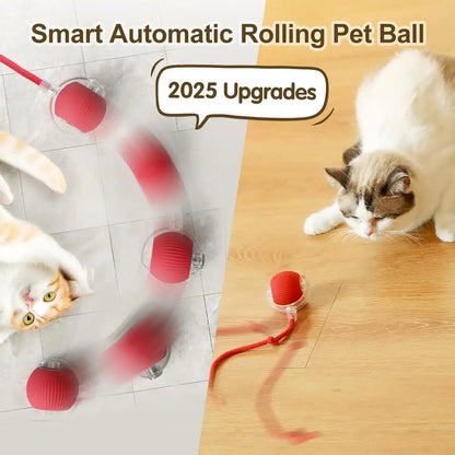 Engaging Cat Interactive Toy™